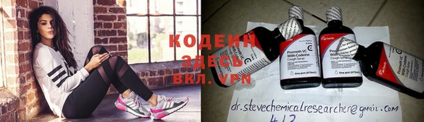 ПСИЛОЦИБИНОВЫЕ ГРИБЫ Вязники