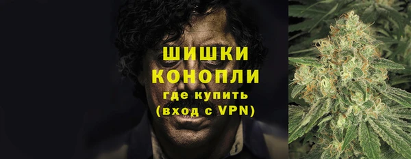 ПСИЛОЦИБИНОВЫЕ ГРИБЫ Вязники