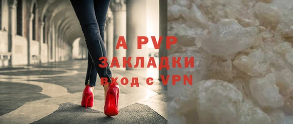 ПСИЛОЦИБИНОВЫЕ ГРИБЫ Вязники