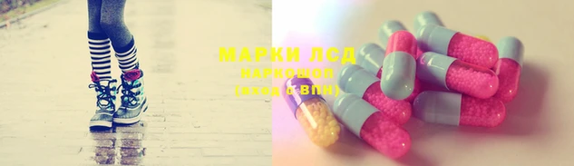 ПСИЛОЦИБИНОВЫЕ ГРИБЫ Вязники