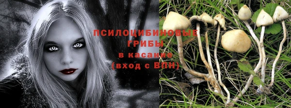 a pvp Вязьма