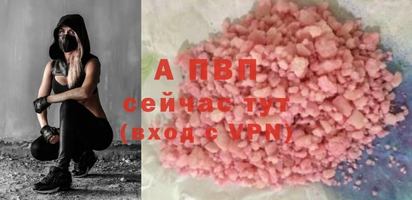 ПСИЛОЦИБИНОВЫЕ ГРИБЫ Вязники