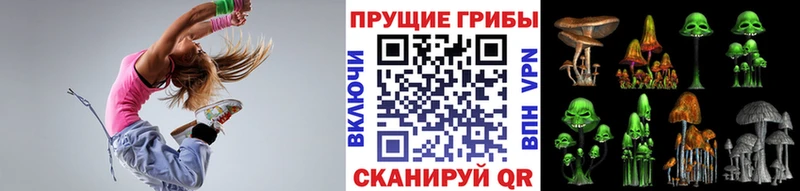 Галлюциногенные грибы Cubensis  Купить закладки  Камешково 